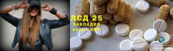 дурь Горно-Алтайск