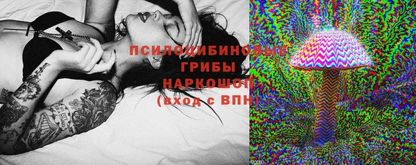 spice Горнозаводск