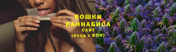 spice Горнозаводск