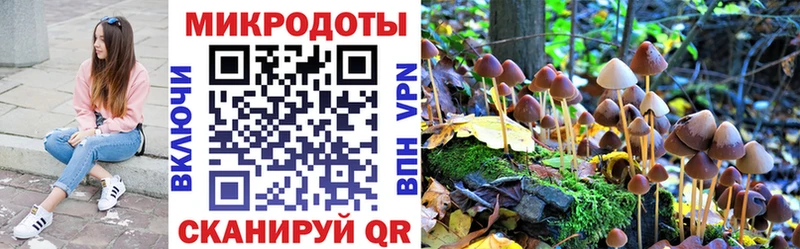 Псилоцибиновые грибы мицелий  хочу   Меленки 